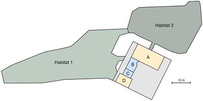 Overnight monitoring reveals the behavioral rhythms of a geriatric male elephant: an animal-centered case study of rest and stereotypy